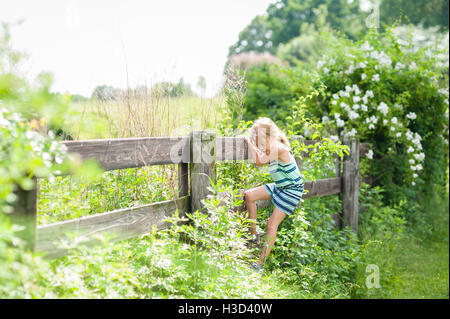 Curieux girl climbing clôture en bois sur sunny day Banque D'Images