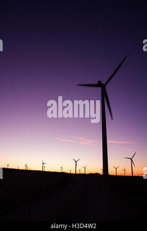 Éoliennes sur terrain contre ciel clair pendant le coucher du soleil Banque D'Images