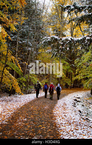 Vue arrière de randonneurs marche sur route en forêt Banque D'Images