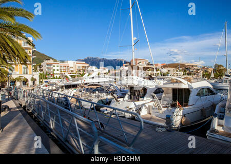 Porto Monténégro dans la baie de Kotor. Banque D'Images