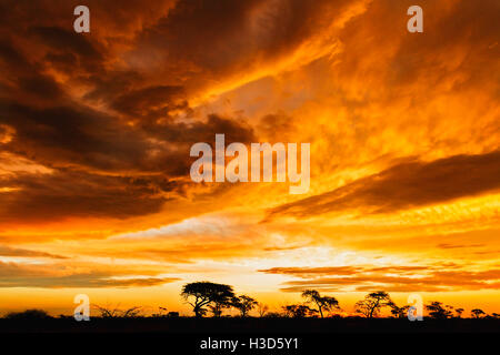 Coucher de soleil spectaculaire après une tempête à Makgadikgadi Pans National Park, Botswana Banque D'Images