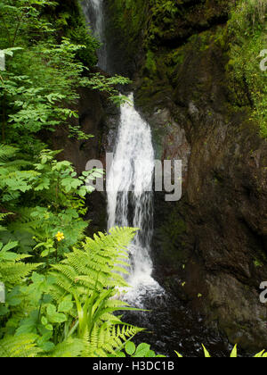 Cascade dans le parc forestier de Glenariff Irlande du Nord Banque D'Images