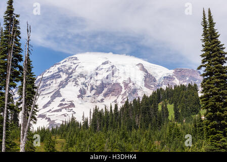 Mt. Sommet Rainier Banque D'Images