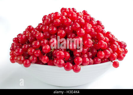 Baies rouges de guelder rose en plaque blanche isolé sur fond blanc Banque D'Images