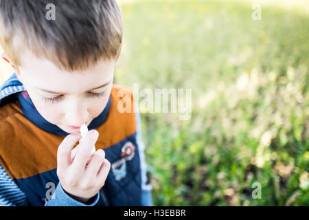 Portrait d'un petit garçon à l'aide d'un spray nasal et souffrant d'une allergie au pollen. Banque D'Images