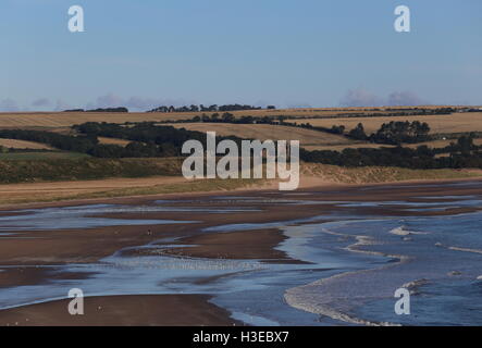 Vue éloignée de la ruine du château rouge et lunan bay angus scotland octobre 2016 Banque D'Images