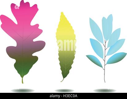 Jeu de feuilles colorées, isolé sur fond blanc Illustration de Vecteur