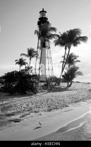 Dans cette image en noir et blanc de l'Hillsboro Leuchtturm soleil du matin de l'est lance de longues ombres de lumière et Gull. Banque D'Images