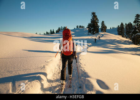 Ski de randonnée dans le parc provincial Garibaldi, British Columbia, Canada. Banque D'Images