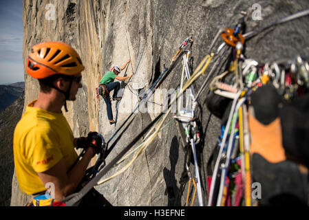 Deux hommes l'escalade libre un grand mur itinéraire sur El Capitan dans le Parc National de Yosemite Prk dans les montagnes de la Sierra Nevada, en Californie. Banque D'Images