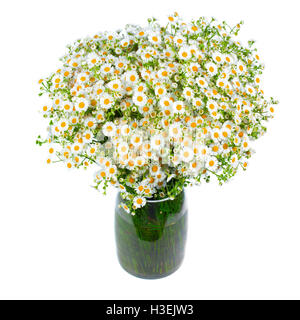 Bouquet de marguerites sauvages dans un vase de verre. Plus isolé sur fond blanc. petites fleurs blanches dans un pot. Banque D'Images
