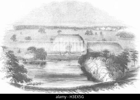 Palm House de Londres, Royal Gdns, Kew 1845. Illustrated London News Banque D'Images