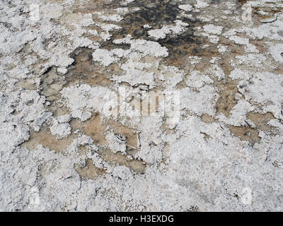 Bassin de Badwater - Death Valley National Park Banque D'Images