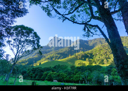 Vue de la vallée de Cocora près de Salento, Colombie Banque D'Images