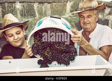 Jeune garçon avec son grand-père parsèment grappes de raisins à la vigne. Thème vintage. Chasse d'automne. Retro photo filtre. Banque D'Images