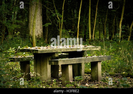 Banc de pique-nique en bois recouvert de feuilles d'automne dans les bois Banque D'Images