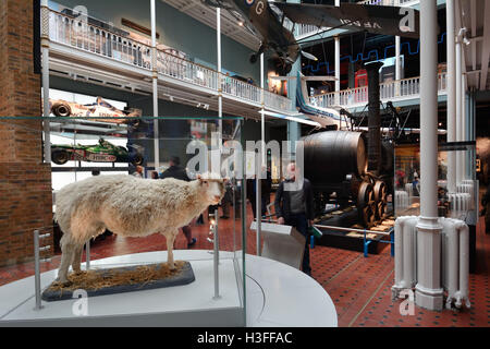 United Kingdom Scotland, Édimbourg, du Musée National d'Écosse, le reste de la brebis Dolly en exposition à la galerie de la science et de la technologie Banque D'Images