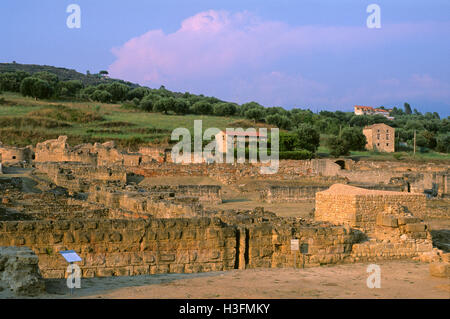 Reste de l'ancienne ville d'Elea, zone archéologique de Velia, - du Cilento et Vallo di Diano National Park Alburni, Campanie Banque D'Images