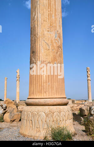 L'Iran, la province du Fars, Persépolis, Patrimoine Mondial de l'UNESCO, piliers de l'Apadane palace Banque D'Images