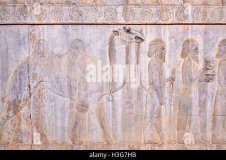 L'Iran, la province du Fars, Persépolis, Patrimoine Mondial de l'UNESCO, procession des affluents Banque D'Images