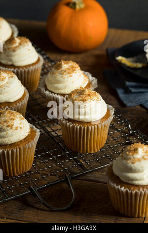 Sweet Spice Citrouille Maison Cupcakes avec le glaçage Banque D'Images