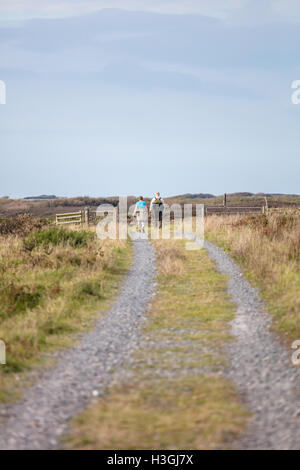 Castlemartin, Pembrokeshire, Pays de Galles de l'Ouest, près de la passerelle verte du Pays de Galles, Royaume-Uni. 8 octobre 2016. Une belle, calme et ensoleillé samedi d'octobre dans l'ouest du pays de Galles. Le dimanche est prévue avec plus de soleil et chaud outlook. Credit : Derek Phillips/Alamy Live News Banque D'Images