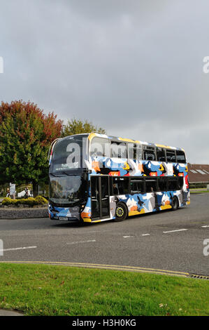 Récemment livré plus de 1634 Bus (HF66 CFA), un Alexander Dennis Enviro 400CMM, est vu dans les arts pour les couleurs d'Unibus University Banque D'Images