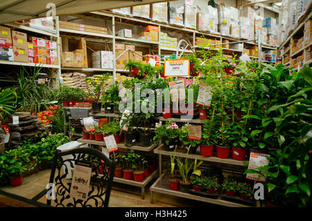 Le magasin Home Depot à Acapulco, Mexique Banque D'Images