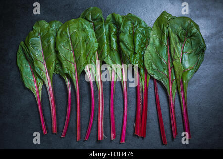 Red chard , légumes dynamique sur ardoise foncé Banque D'Images