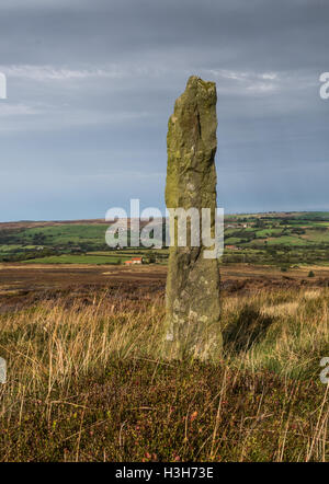 Landes Pierre waymarkers sur of Glaisdale Rigg Banque D'Images