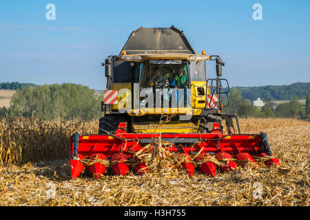 Moissonneuse-batteuse New Holland CR9080 de la récolte du maïs - sud-Touraine, France. Banque D'Images