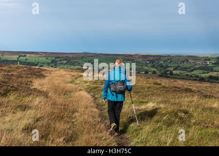 Marcher sur la lande of Glaisdale North York Moors Banque D'Images