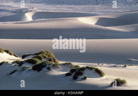 Dunes de sable sur l'île dirk hartog, Banque D'Images