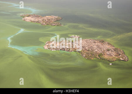 Vue aérienne du lac Victoria , floraison d'algues bleu-vert Banque D'Images