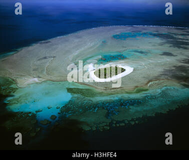 L'île touffue, une végétation mature cay off Mackay, Banque D'Images