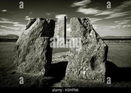 Les Menhirs de Stenness sur terre ferme, Orkney, Scotland, UK Banque D'Images