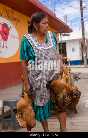 Une femme vendant des poulets à la vie marché du dimanche de Tlacolula de Matamoros, Mexique. Le marché de la rue régionale attire des milliers de vendeurs et consommateurs de l'ensemble de la Valles centrales de Oaxaca. Banque D'Images