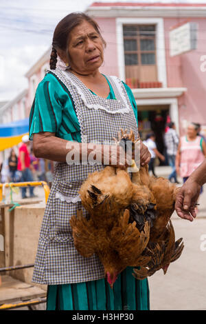 Une femme vendant des poulets à la vie marché du dimanche de Tlacolula de Matamoros, Mexique. Le marché de la rue régionale attire des milliers de vendeurs et consommateurs de l'ensemble de la Valles centrales de Oaxaca. Banque D'Images