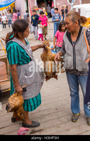 Une femme vendant des poulets à la vie marché du dimanche de Tlacolula de Matamoros, Mexique. Le marché de la rue régionale attire des milliers de vendeurs et consommateurs de l'ensemble de la Valles centrales de Oaxaca. Banque D'Images