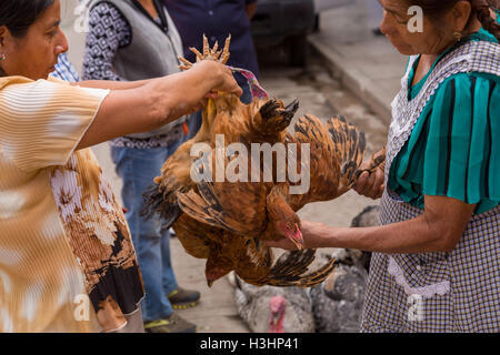 Une femme vendant des poulets à la vie marché du dimanche de Tlacolula de Matamoros, Mexique. Le marché de la rue régionale attire des milliers de vendeurs et consommateurs de l'ensemble de la Valles centrales de Oaxaca. Banque D'Images