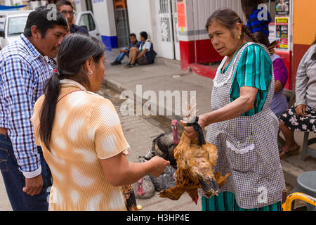 Une femme vendant des poulets à la vie marché du dimanche de Tlacolula de Matamoros, Mexique. Le marché de la rue régionale attire des milliers de vendeurs et consommateurs de l'ensemble de la Valles centrales de Oaxaca. Banque D'Images