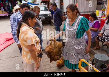 Une femme vendant des poulets à la vie marché du dimanche de Tlacolula de Matamoros, Mexique. Le marché de la rue régionale attire des milliers de vendeurs et consommateurs de l'ensemble de la Valles centrales de Oaxaca. Banque D'Images