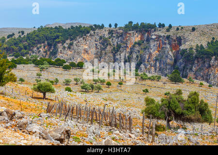 Gorge d'Aradena, île de Crète, Grèce Banque D'Images