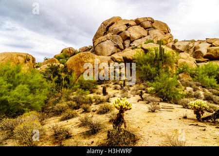 Gros rochers avec Saguaro cactus Cholla et sec dans le désert de l'Arizona sous ciel nuageux Banque D'Images