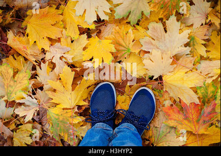 Image style hipster conceptuelle des jambes dans des bottes, trendy gumshoes fond sur les feuilles d'automne. Banque D'Images