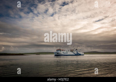 Le Ferry Northlink Hamnavoe approche du port de Stromness sur terre ferme, Orkney, Scotland, UK Banque D'Images