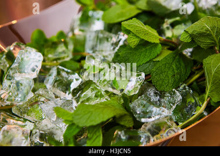 Des cubes de glace et de menthe fraîche. Banque D'Images