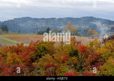 Citrouille ferme en terres agricoles rurales pendant la saison d'automne de l'Oregon Banque D'Images