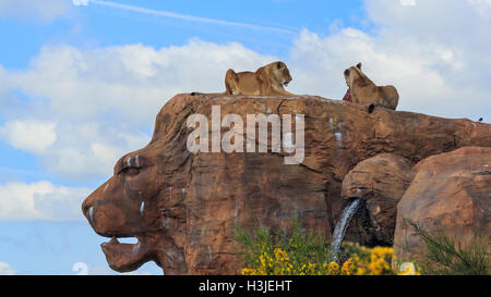 Spring Grove, APR 23 : Lion dans la belle West Midland Safari Park on APR 23, 2016 à Spring Grove, United Kingdom Banque D'Images