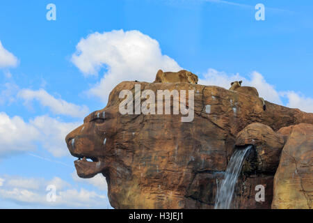 Spring Grove, APR 23 : Lion dans la belle West Midland Safari Park on APR 23, 2016 à Spring Grove, United Kingdom Banque D'Images